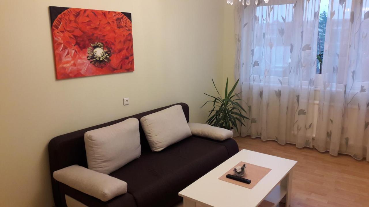 Grazinos Apartamentai Panevezys Luaran gambar